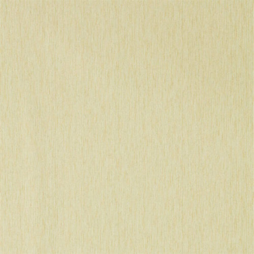 Caspian Strie 216913